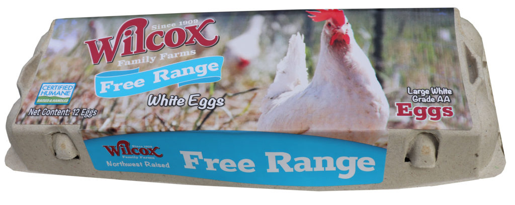 Free Range White Eggs