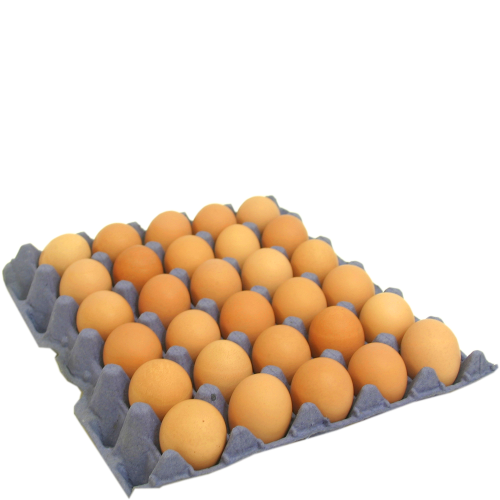 Fresh Brown Bulk Shell Eggs