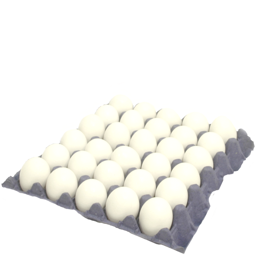 Fresh White Bulk Shell Eggs